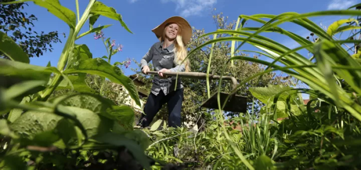 Was Tun Gegen Zecken Im Garten? | Zecken.de